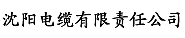 骑士影院视频在线播放电缆厂logo